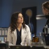 talenti-v-belem, grey's-anatomy