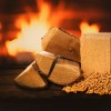 shutterstock_2453856801.jpg