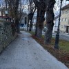 IMG_3278_ed.jpg
