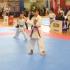 kk-soltec-brezice
