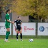 sznl, 12-krog, znk-olimpija-ljubljana, kodeljevo, znk-mura-nona