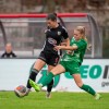 sznl, 12-krog, znk-olimpija-ljubljana, kodeljevo, znk-mura-nona