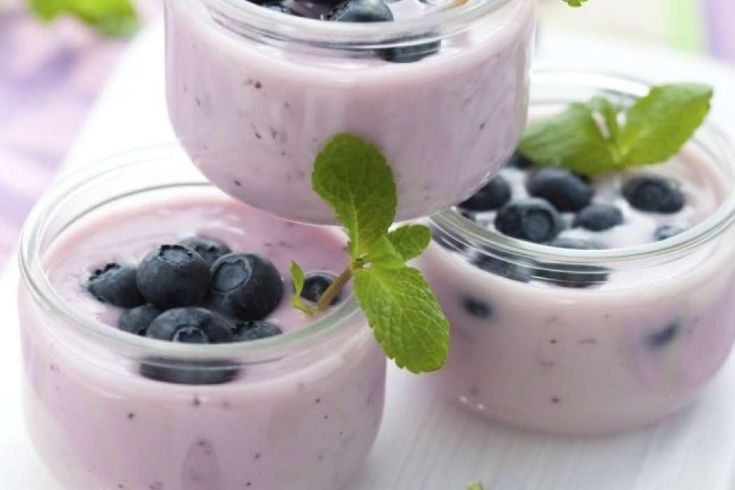 Jogurtov napitek z borovnicami in alojo vero