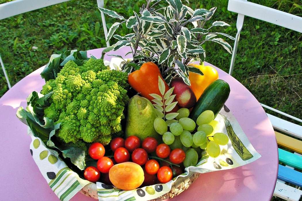 košara sadje zelenjava