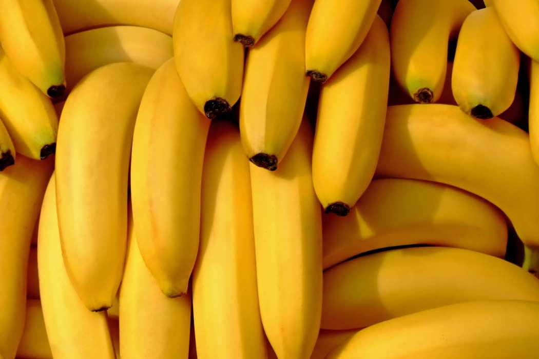 14-11-16-banane, uvod
