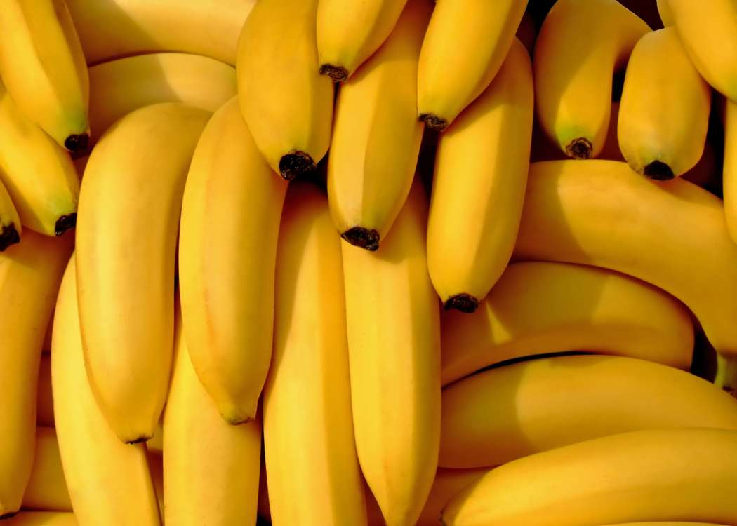 14-11-16-banane, uvod