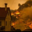 abrantes1