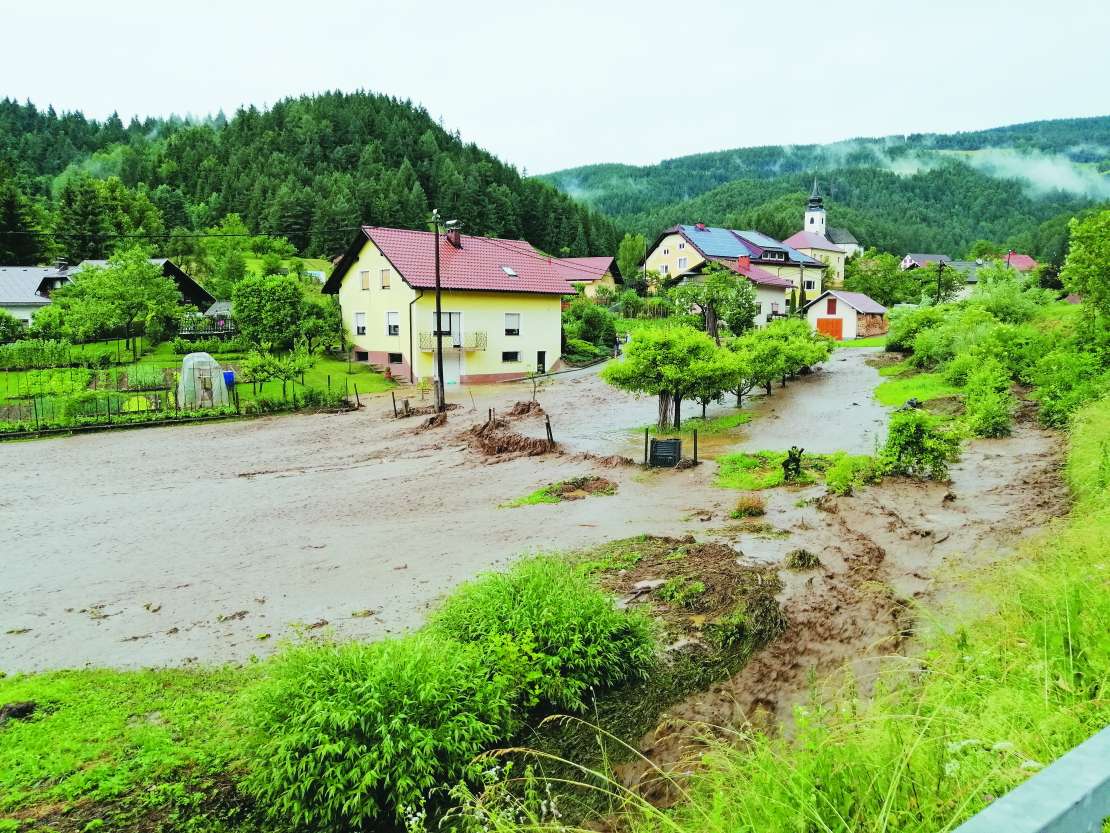 neurje Dolič