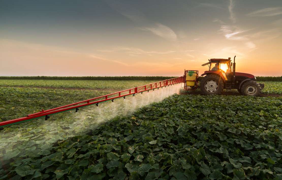 monsanto1