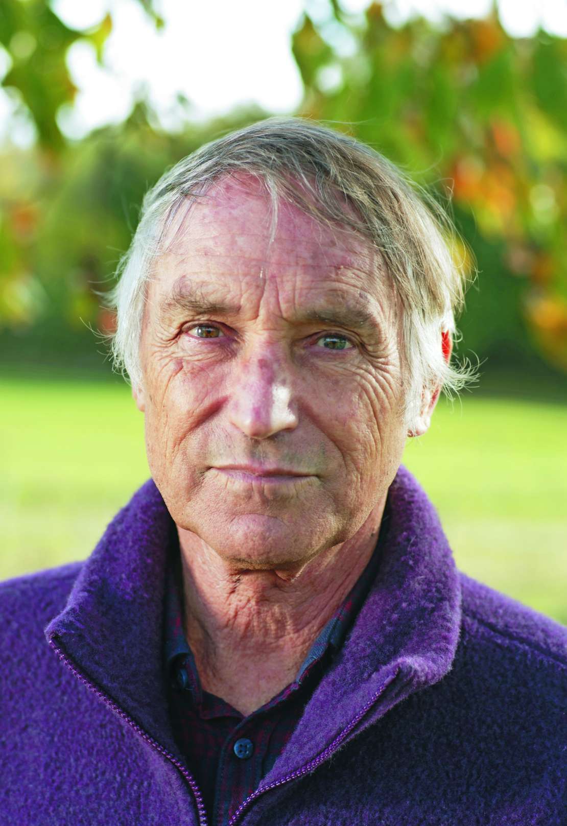 pogacnik - foto bojan brecelj
