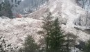 plaz, log pod mangartom,