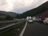 slika novice