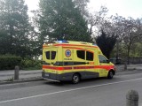 slika novice
