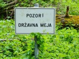 slika novice