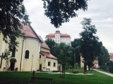 slika novice