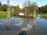 slika novice