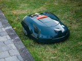 slika novice