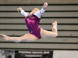 slika novice