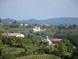 slika novice
