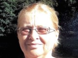 slika novice