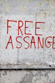 Assange dosegel zmago v boju proti izročitvi v ZDA