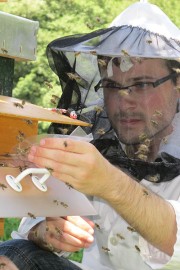 V Sloveniji imamo 20-krat preveč »domačih« čebel, obseg paše se krči