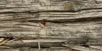 104358_176321_wood_old_0008_01_preview