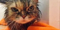 Foto: Pinterest