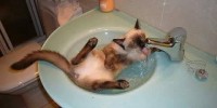 Foto: Pinterest