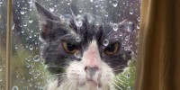 Foto: Pinterest