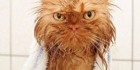 Foto: Pinterest