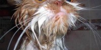 Foto: Pinterest