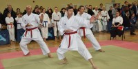 Novomeški in črnomaljski karateisti skupaj uspešni na tekmovanju