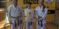 Svečan zaključek sezone Karate kluba Brežice