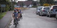 jelše–veliki-podlog