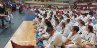 5-medalj-za-sevniške-karateiste-na-madžarskem