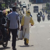 ebola, gvineja