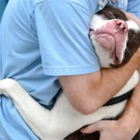 cute-dogs-hugging-humans-102