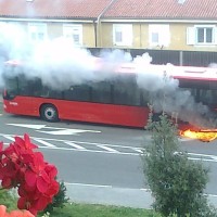 Avtobus, Koper 1