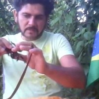 Brazilec, kača, tarantela