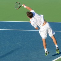 aljaz bedene 2