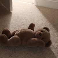 pedofil medvedek nasilje otrok