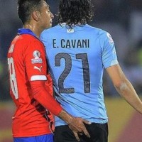 jara cavani