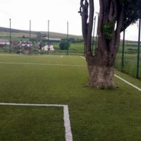 PAY-Tree-on-football-pitch