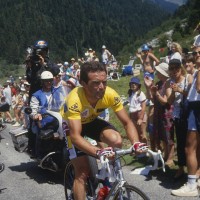 bernard hinault