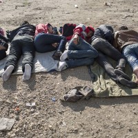 migranti, bolgarsko-srbska meja