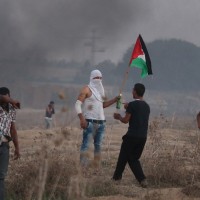 palestinci