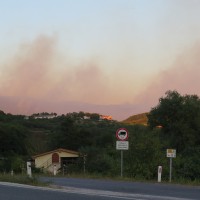 Zgorelo 400 hektarjev površin-1