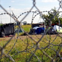 meja, srbija-madžarska, begunci, migranti
