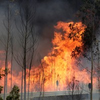 Gozdni požar, Portugalska